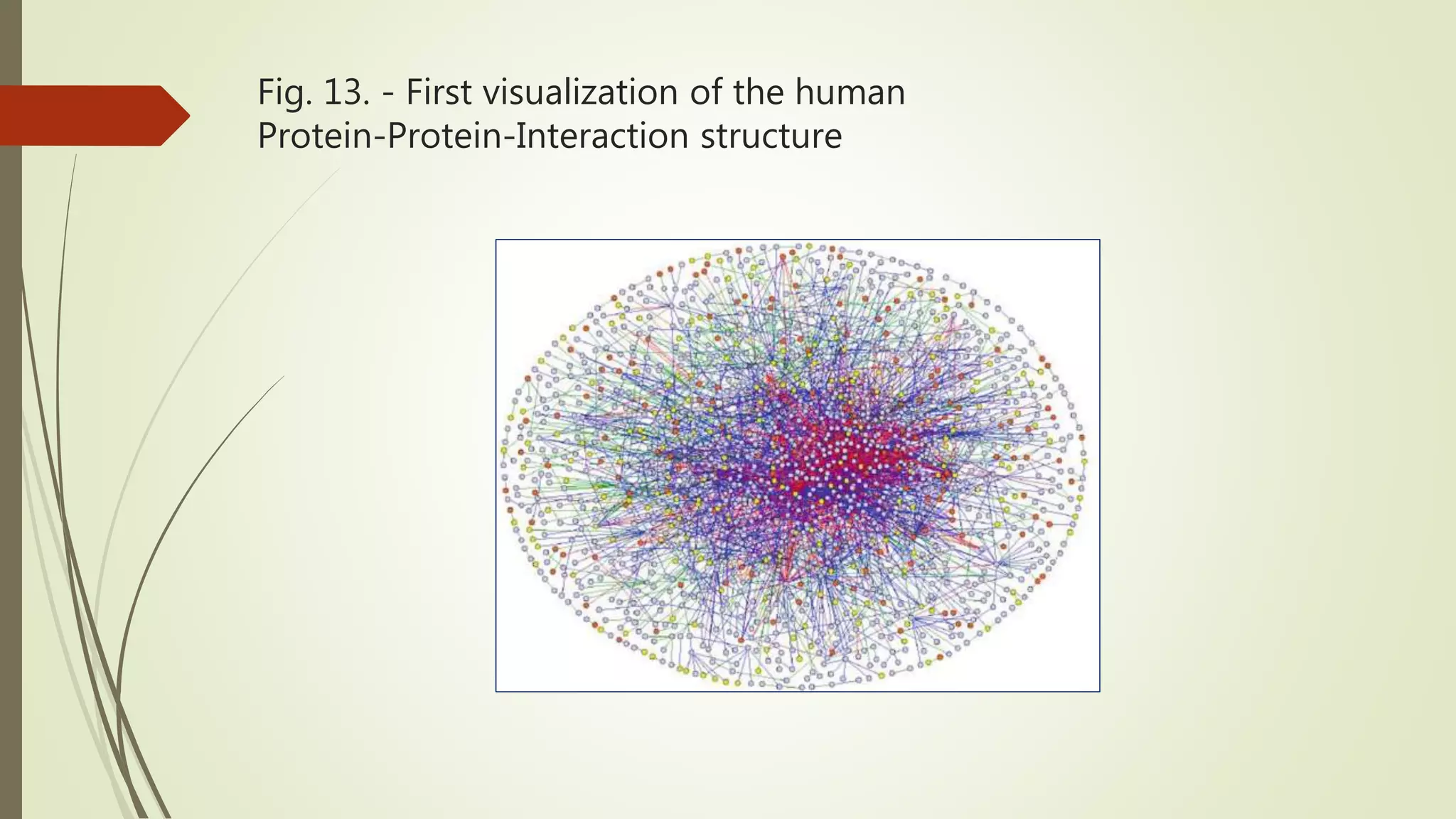 Fig. 13. - First visualization of the human Protein-Protein-Interaction structure 