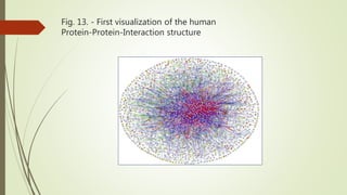 Fig. 13. - First visualization of the human
Protein-Protein-Interaction structure
 