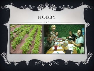 HOBBY
 