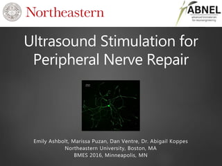 Ultrasound Stimulation for
Peripheral Nerve Repair
Emily Ashbolt, Marissa Puzan, Dan Ventre, Dr. Abigail Koppes
Northeastern University, Boston, MA
BMES 2016, Minneapolis, MN
 