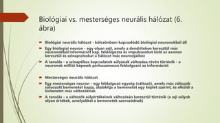 Biológiai vs. mesterséges neurális hálózat (6.
ábra)
 Biológiai neurális hálózat - kölcsönösen kapcsolódó biológiai neuronokból áll
 Egy biológiai neuron - egy olyan sejt, amely a dendriteken keresztül más
neuronokból információt kap, feldolgozza és impulzusokat küld az axonon
keresztül és szinapszisokat a hálózat más neuronjaihoz
 A tanulás - a szinaptikus kapcsolatok súlyának változása révén történik - a
neuronok milliói képesek párhuzamosan feldolgozni az információt
 Mesterséges neurális hálózat
 Egy mesterséges neuron - egy feldolgozó egység (változó), amely más változók
súlyozott bemenetét kapja, átalakítja a bemenetet egy képlet szerint, és elküldi a
kimenetet más változóknak
 A tanulás - a változók súlyértékeinek változásán keresztül történik (a wji súlyok
olyan értékek, amelyekkel a bemenetek szorozódnak)
 