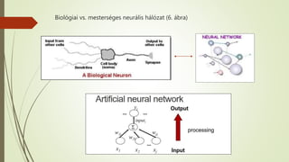 Biológiai vs. mesterséges neurális hálózat (6. ábra)
 
