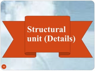 44 
Structural 
unit (Details) 
 