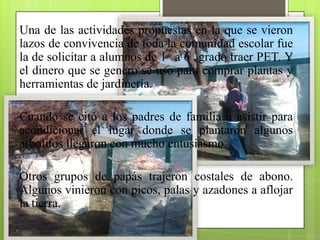 Una de las actividades propuestas en la que se vieron
lazos de convivencia de toda la comunidad escolar fue
la de solicitar a alumnos de 1 a 6 grado traer PET. Y
el dinero que se genero se uso para comprar plantas y
herramientas de jardinería.

Cuando se citó a los padres de familia a asistir para
acondicionar el lugar donde se plantaron algunos
arbolitos llegaron con mucho entusiasmo.

Otros grupos de papás trajeron costales de abono.
Algunos vinieron con picos, palas y azadones a aflojar
la tierra.
 