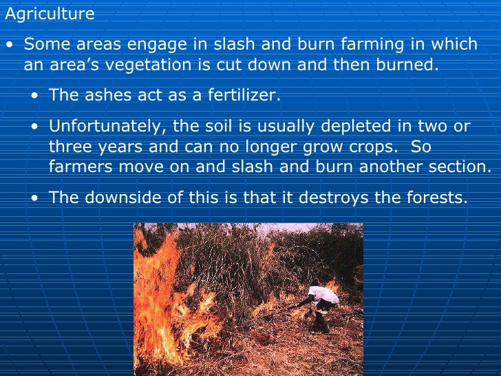 human environment interaction examples