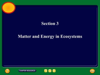 Section 3 Matter and Energy in Ecosystems 