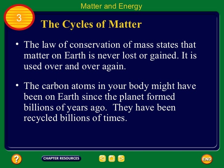 Chapter 9.3: Matter and Energy in Ecosystems