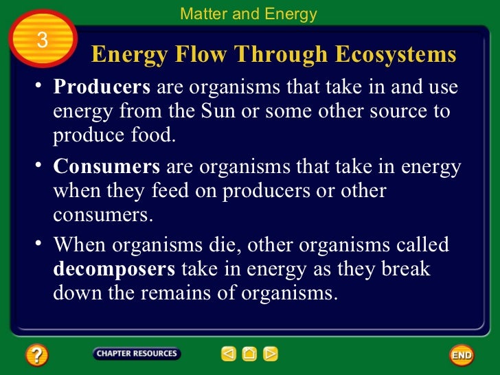 Chapter 9.3: Matter and Energy in Ecosystems