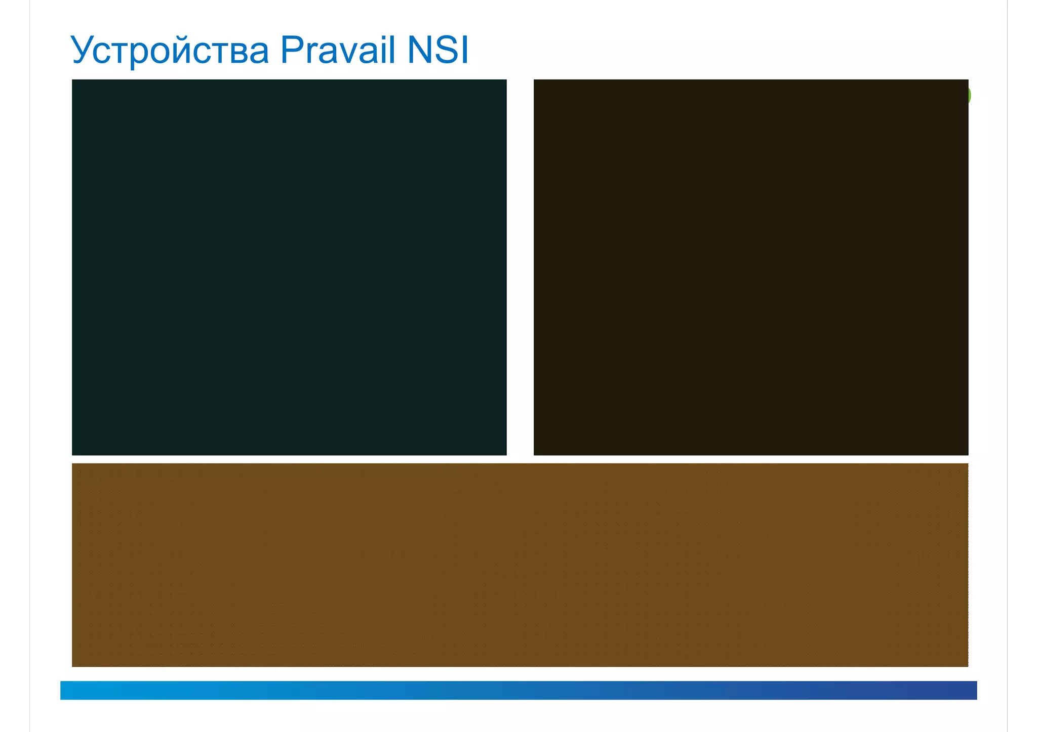 Устройства Pravail NSI
     Контроллеры серии 5100                            Контроллеры серии 5200

      NSI 5110                                         NSI 5220
     До 3500 FPS          Замена лицензии            До 25,000 FPS           Замена лицензии




       NSI 5120                                        NSI 5230
     До 10000 FPS                                    До 80,000 FPS
                           Замена лицензии


                                                    Контроллеры NSI 5200 поддерживают
       NSI 5130                                    модуль DHM для длительного хранения
     До 35000 FPS                                      информации для аудита на SAN


                                 Коллекторы серии 5000

    NSI 5003AI                       NSI 5004                          NSI 5005
    До 2 Gbps                       До 8,000 FPS                     До 16,000 FPS

                   NSI 5006                           NSI 5007
                 До 35,000 FPS                      До 80,000 FPS
 