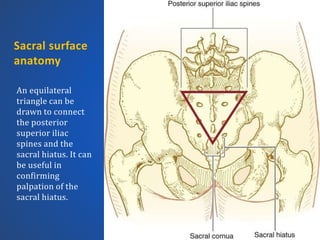 Spinal anesthesia (Anatomy and Pharmacology) | PPTX