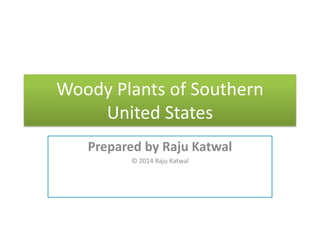 Woody Plants of Southern
United States
Prepared by Raju Katwal
© 2014 Raju Katwal
 