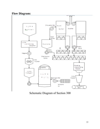 12
Flow Diagram:
Schematic Diagram of Section 300
 