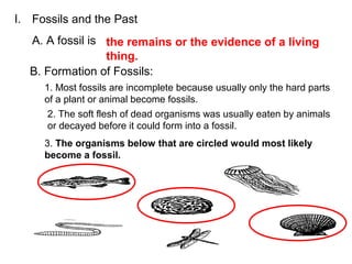 Fossils to sedimentary rock | PPTX