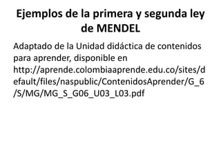 Ejemplos de la primera y segunda ley
de MENDEL
Adaptado de la Unidad didáctica de contenidos
para aprender, disponible en
http://aprende.colombiaaprende.edu.co/sites/d
efault/files/naspublic/ContenidosAprender/G_6
/S/MG/MG_S_G06_U03_L03.pdf
 