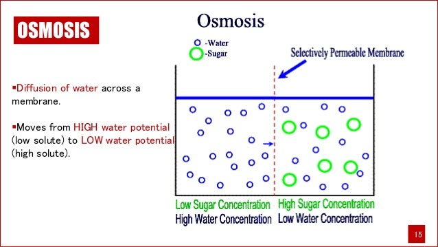 TRANSPORT ACROSS MEMBRANES
