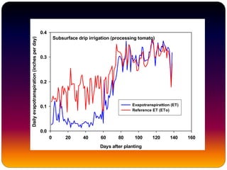 Subsurface drip irrigation (processing tomato)
Days after planting
0 20 40 60 80 100 120 140 160
Dailyevapotranspiration(inchesperday)
0.0
0.1
0.2
0.3
0.4
Evapotranspirattion (ET)
Reference ET (ETo)
 