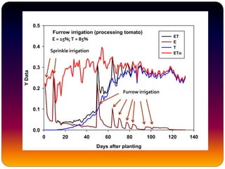 Furrow irrigation (processing tomato)
Days after planting
0 20 40 60 80 100 120 140
YData
0.0
0.1
0.2
0.3
0.4
0.5
ET
E
T
ETo
Sprinkle irrigation
Furrow irrigation
E = 15%;T = 85%
 