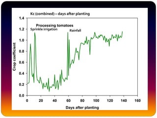 Processing tomatoes
Days after planting
0 20 40 60 80 100 120 140 160
Cropcoefficient
0.0
0.2
0.4
0.6
0.8
1.0
1.2
1.4
Kc (combined) – days after planting
Sprinkle irrigation Rainfall
 