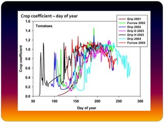 Tomatoes
Day of year
50 100 150 200 250 300
Cropcoefficient
0.0
0.2
0.4
0.6
0.8
1.0
1.2
1.4
1.6
Drip 2001
Furrow 2002
Drip 2002
Drip D 2003
Drip H 2003
Drip 2004
Furrow 2004
Crop coefficient – day of year
 