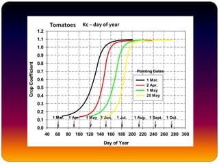 Day of Year
40 60 80 100 120 140 160 180 200 220 240 260 280 300
CropCoefficient
0.0
0.1
0.2
0.3
0.4
0.5
0.6
0.7
0.8
0.9
1.0
1.1
1.2
1 Mar.
2 Apr.
1 May
25 May
1 Mar. 1 Apr. 1 May 1 Jun. 1 Jul. 1 Aug. 1 Sept. 1 Oct.
Planting Dates
Tomatoes Kc – day of year
 