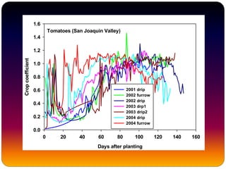 Kc – days after plantingTomatoes (San Joaquin Valley)
Days after planting
0 20 40 60 80 100 120 140 160
Cropcoefficient
0.0
0.2
0.4
0.6
0.8
1.0
1.2
1.4
1.6
2001 drip
2002 furrow
2002 drip
2003 drp1
2003 drip2
2004 drip
2004 furrow
 