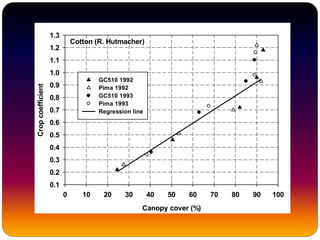 Cotton (R. Hutmacher)
Canopy cover (%)
0 10 20 30 40 50 60 70 80 90 100
Cropcoefficient
0.1
0.2
0.3
0.4
0.5
0.6
0.7
0.8
0.9
1.0
1.1
1.2
1.3
GC510 1992
Pima 1992
GC510 1993
Pima 1993
Regression line
 