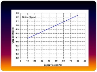 Canopy cover (%)
0 10 20 30 40 50 60 70 80 90
Cropcoefficient
0.2
0.3
0.4
0.5
0.6
0.7
0.8
0.9
1.0
1.1
1.2
1.3
Onion (Spain)
 