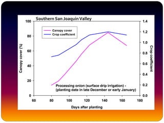 Processing onion (surface drip irrigation) -
(planting date in late December or early January)
Days after planting
60 80 100 120 140 160 180
Canopycover(%)
0
20
40
60
80
100
Cropcoefficient
0.0
0.2
0.4
0.6
0.8
1.0
1.2
1.4
Canopy cover
Crop coefficient
Southern San JoaquinValley
 