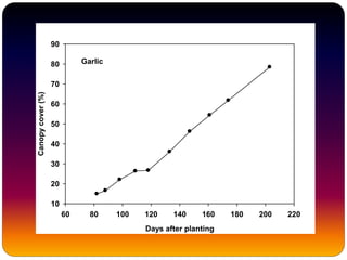 Garlic
Days after planting
60 80 100 120 140 160 180 200 220
Canopycover(%)
10
20
30
40
50
60
70
80
90
 