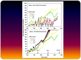 Onion - four inches from drip line
120 140 160 180 200 220
Soilmoisturetension(centibars)
0
20
40
60
80
100
120
140
160
180
200
6
12
18
24
Onion - 10 inches from drip line
Day of year
120 140 160 180 200 220
0
20
40
60
80
100
120
140
160
180
200
6
12
18
24
Depth (inches)
Depth (inches)
May 1 June 1 July 1 August 1
 