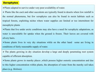 ➢ The plants growing in dry situation develop a large and deeply penetrating root system
capable of efficient absorption.
➢Some plants grows in marshy places ,which possess higher osmotic concentration and due
to this higher concentration within plants, the absorption of water from the marshy soil takes
place (e.g. Molinia).
➢Plants adapted to survive under very poor availability of water.
➢ Plants like the cacti and other succulents are typically found in deserts where low rainfall is
the normal phenomena, but few xerophytes can also be found in moist habitats such as
tropical forests, exploiting niches where water supplies are limited or too intermittent for
mesophytic plants
➢Plants that live under arctic conditions may also have a need for xerophytic adaptations, as
water is unavailable for uptake when the ground is frozen. Their leaves are covered with
silvery hairs.
➢Some plants lives in very dry situations while on the other hand some are living in
conditions of fairly reasonable supply of water.
Xerophytes
 