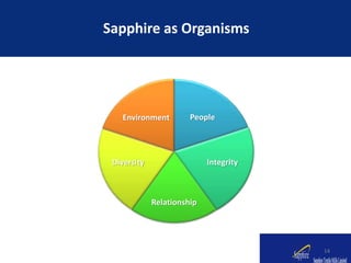 Sapphire as Organisms
14
People
Integrity
Relationship
Diversity
Environment
 