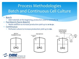 IVT Presentation Batch vs Continuous - 45min_REV3 | PPTX