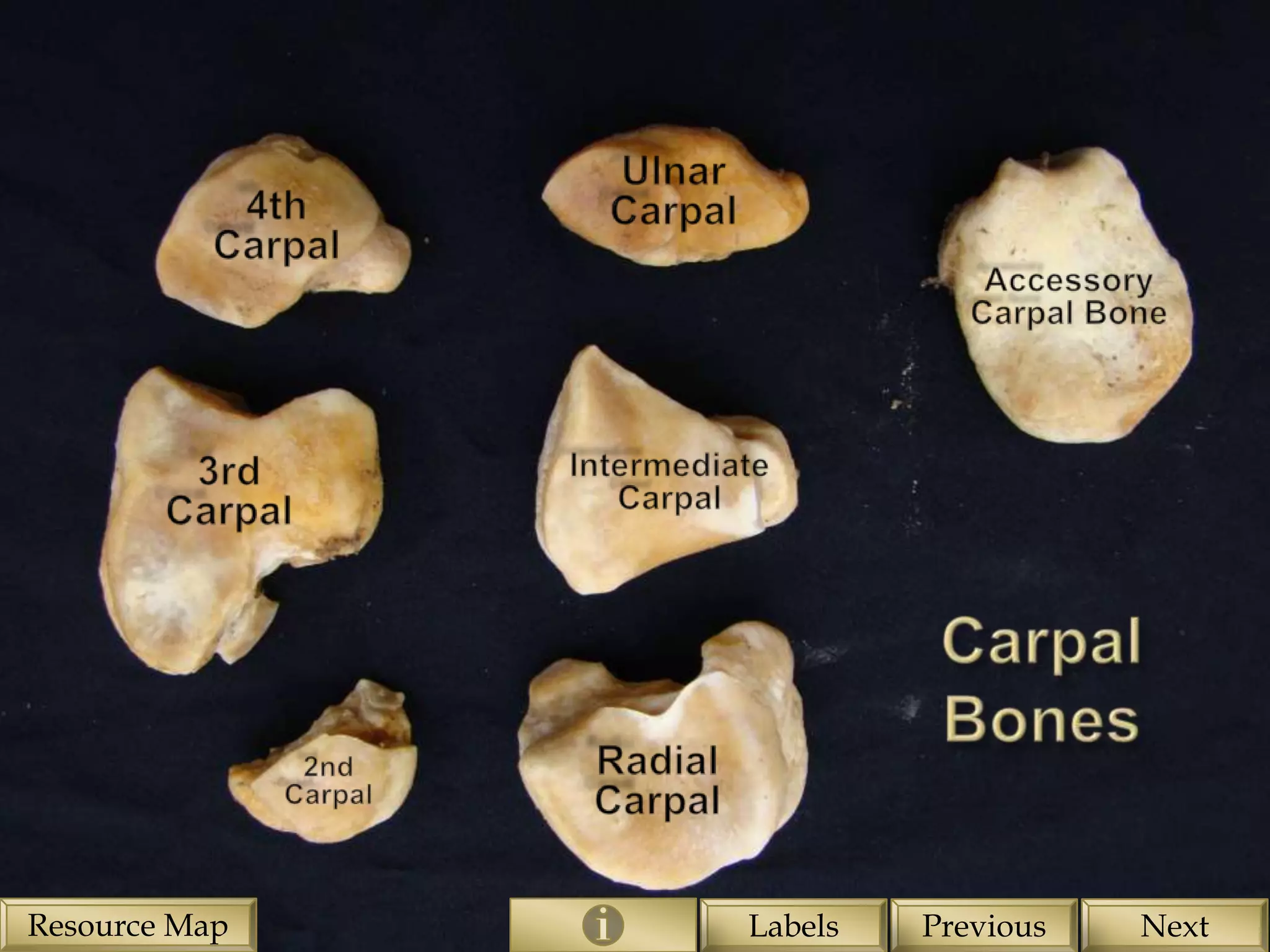 Resource Map   Labels   Previous   Next
 
