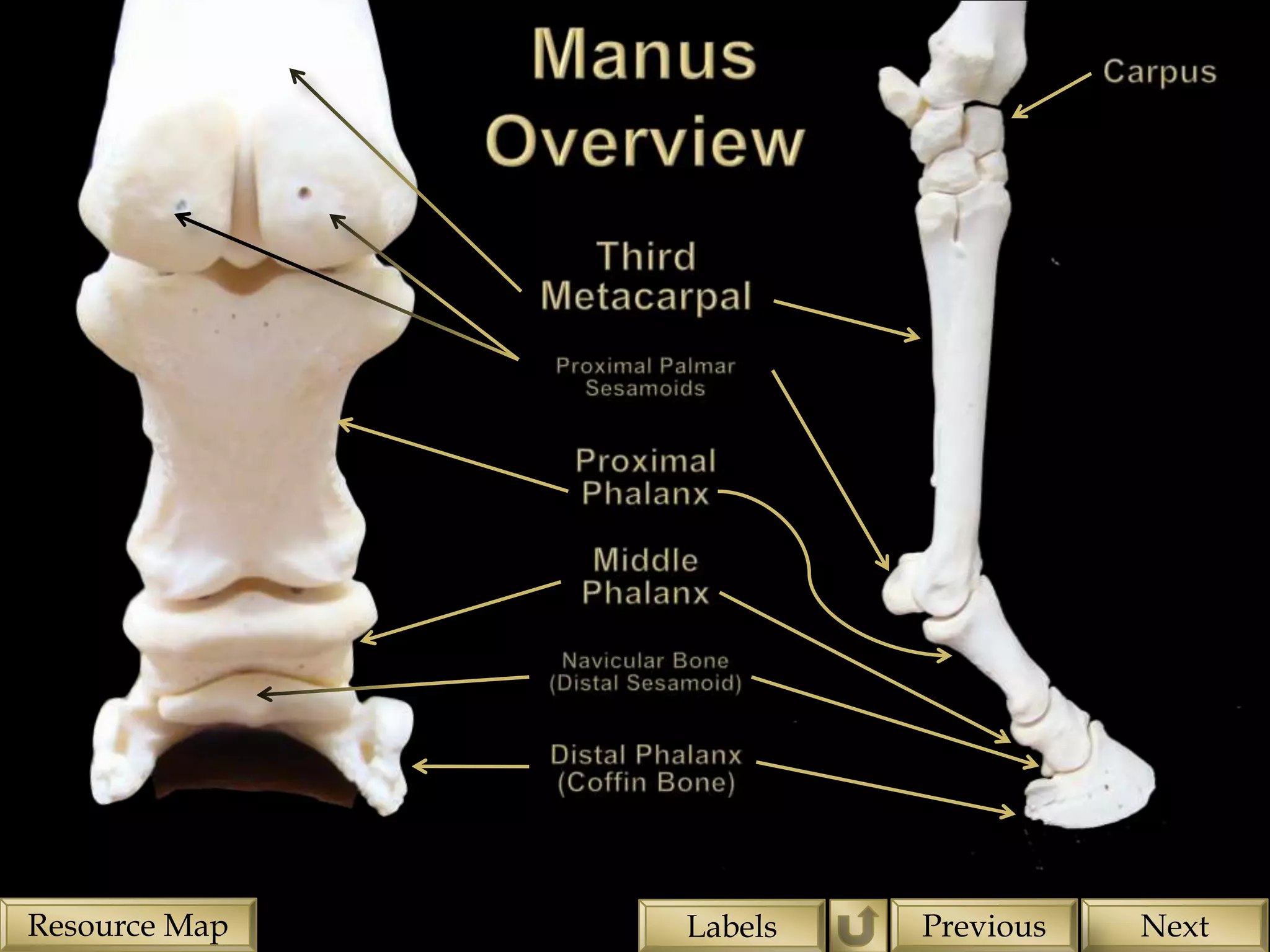 Resource Map   Labels   Previous   Next
 