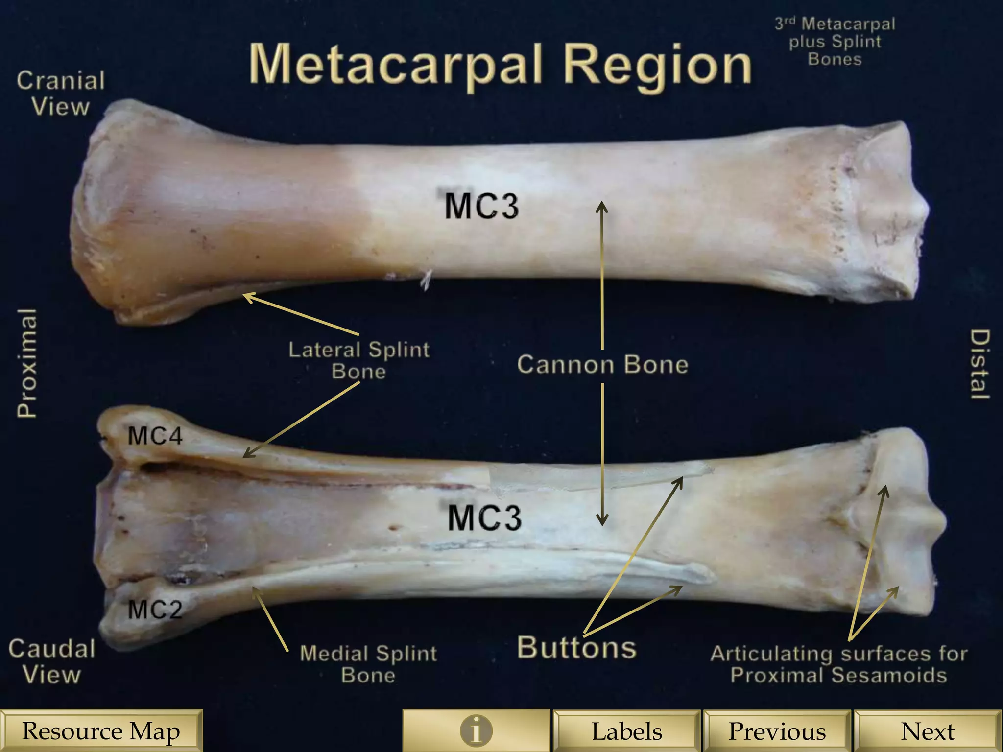 Resource Map   Labels   Previous   Next
 