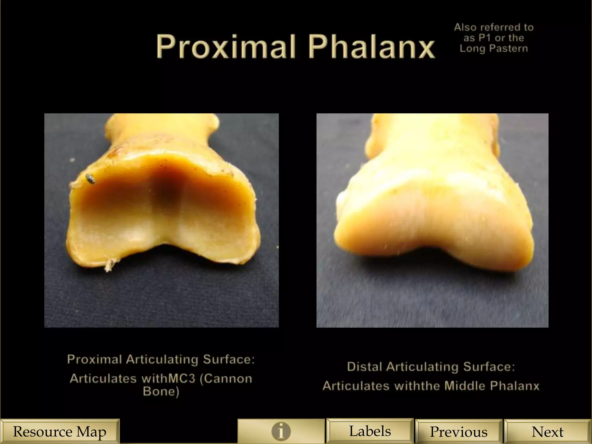 Resource Map   Labels
               Page 2   Previous   Next
 