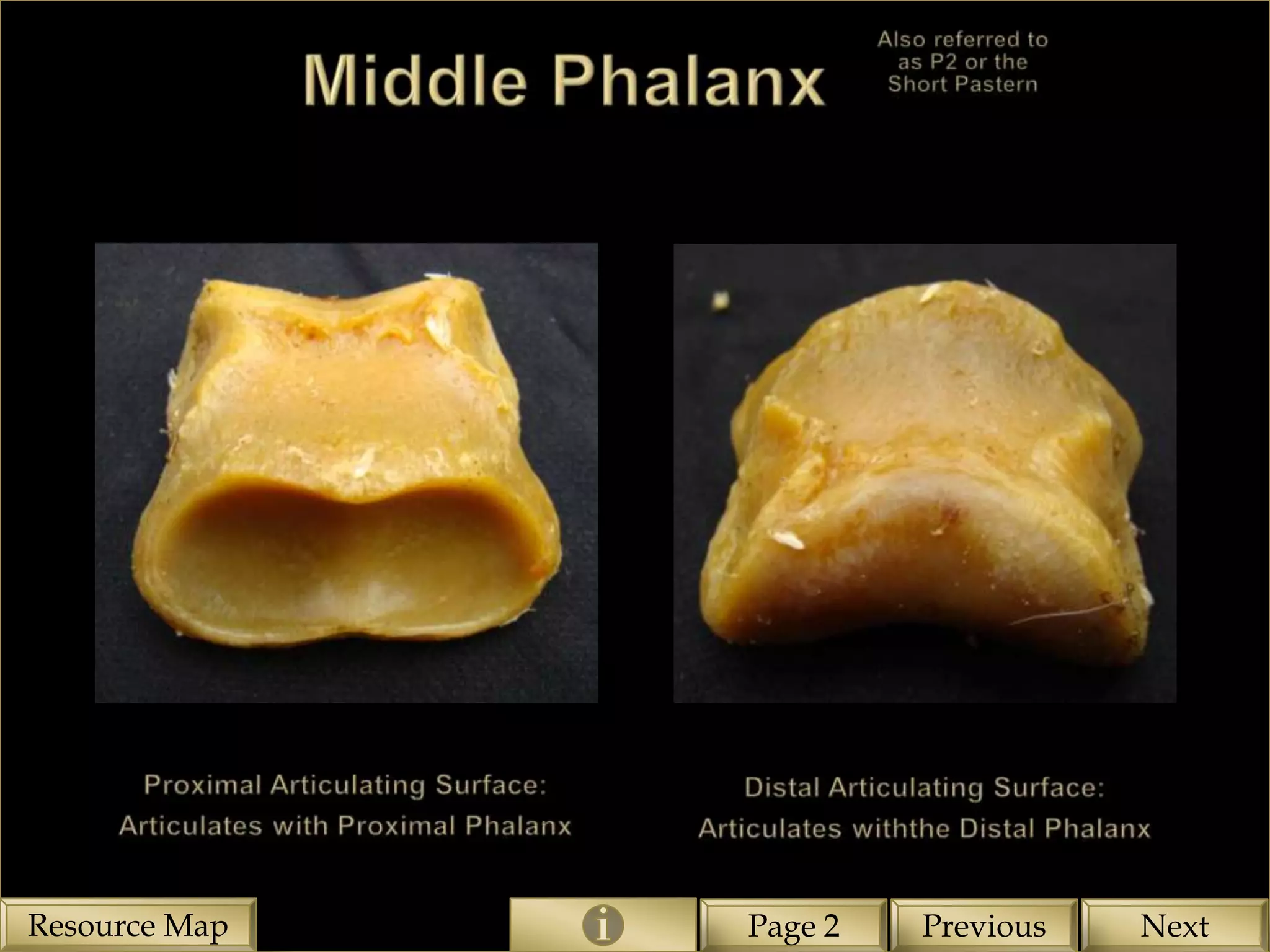 Resource Map   Page 2   Previous   Next
 