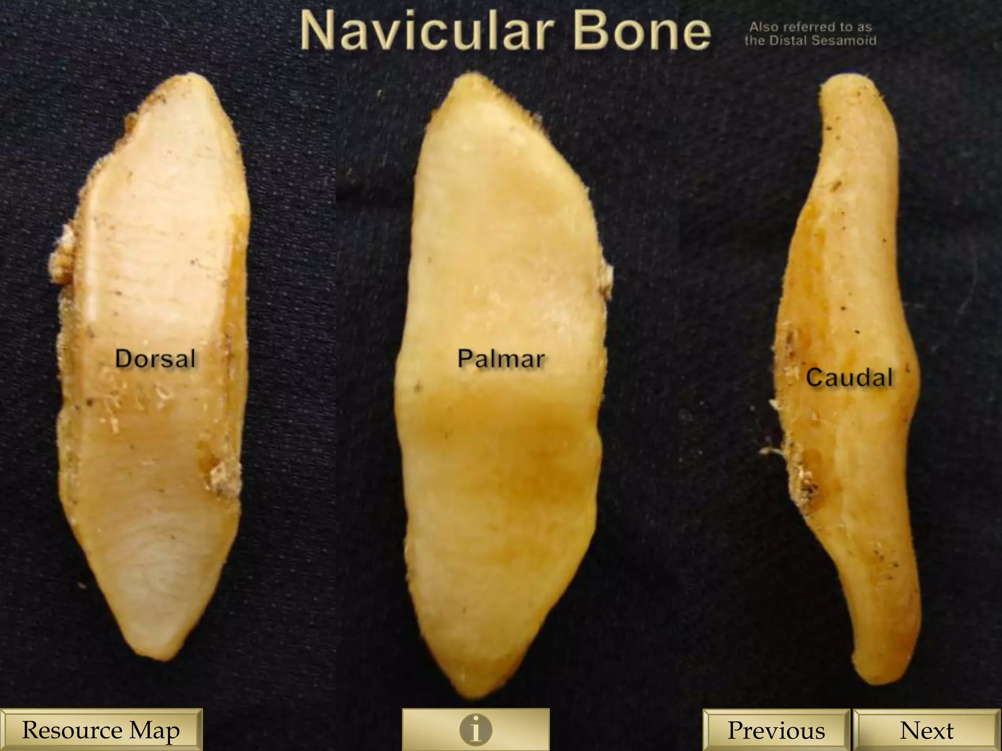 Resource Map   Previous   Next
 