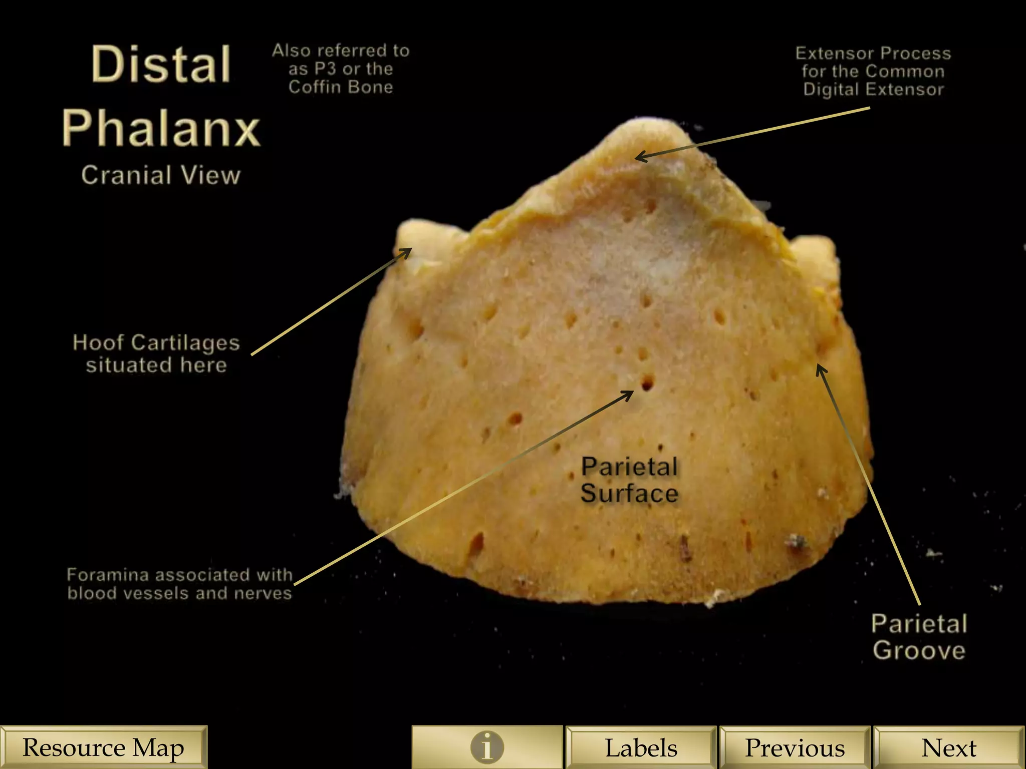 Resource Map   Labels   Previous   Next
 