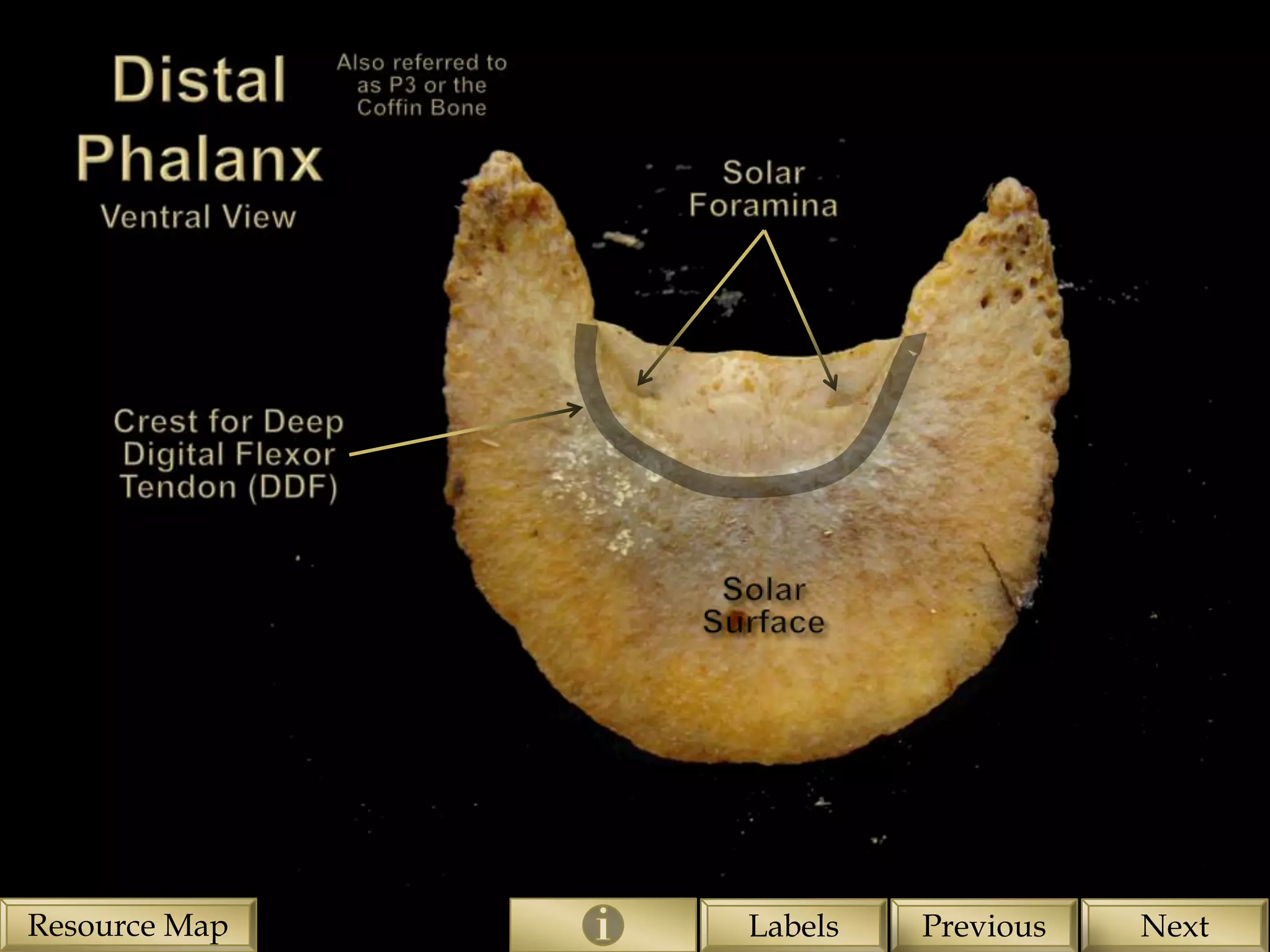 Resource Map   Labels   Previous   Next
 