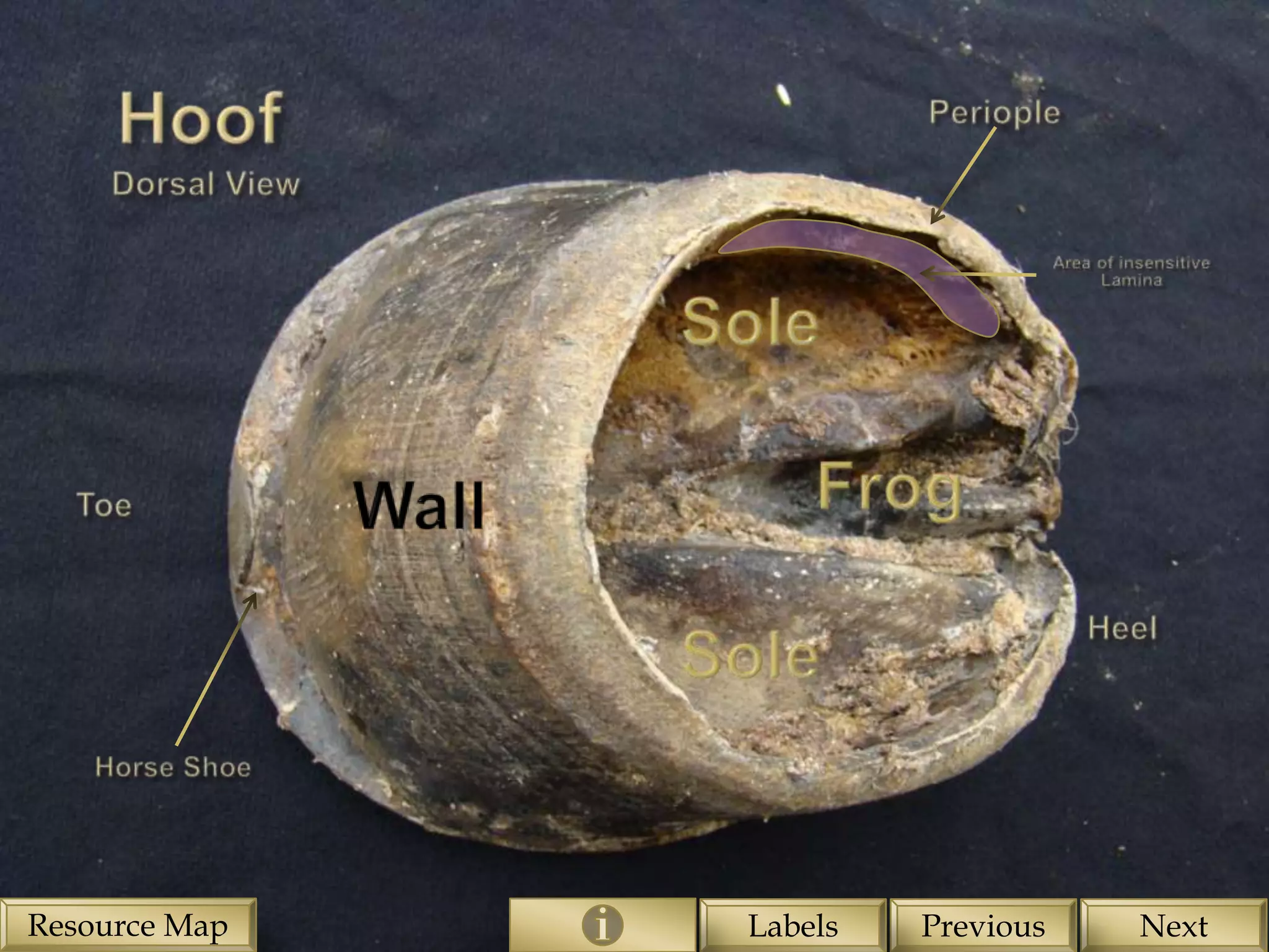 Resource Map   Labels   Previous   Next
 
