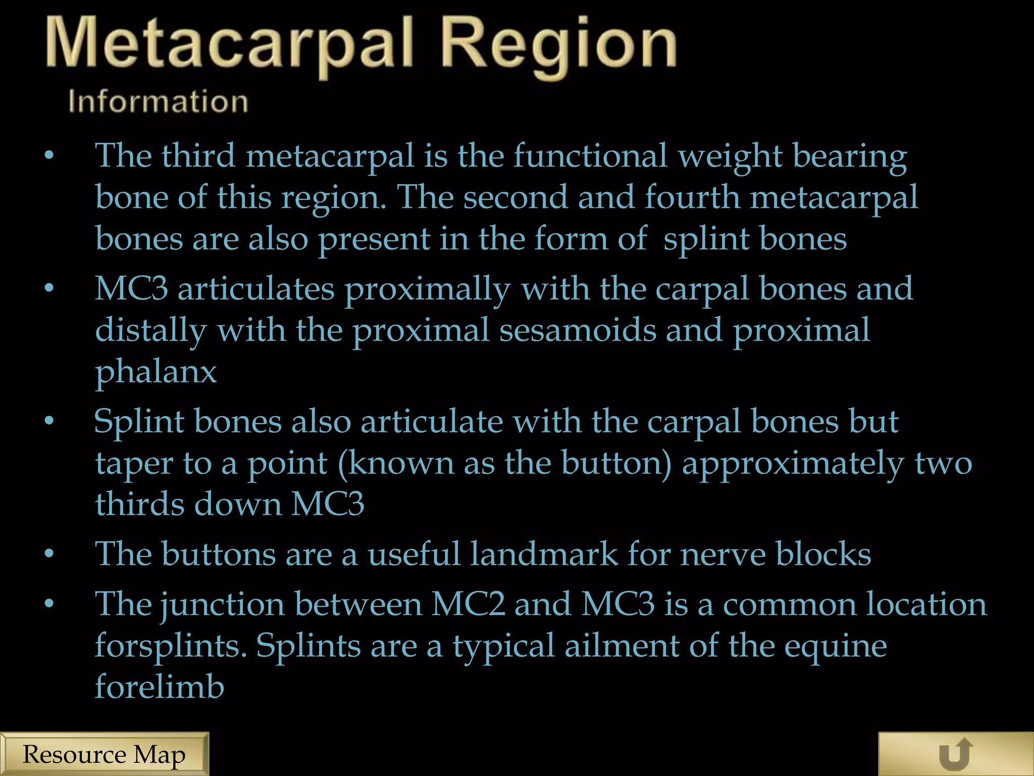 •   The third metacarpal is the functional weight bearing
     bone of this region. The second and fourth metacarpal
     bones are also present in the form of splint bones
 •   MC3 articulates proximally with the carpal bones and
     distally with the proximal sesamoids and proximal
     phalanx
 •   Splint bones also articulate with the carpal bones but
     taper to a point (known as the button) approximately two
     thirds down MC3
 •   The buttons are a useful landmark for nerve blocks
 •   The junction between MC2 and MC3 is a common location
     forsplints. Splints are a typical ailment of the equine
     forelimb
Resource Map
 