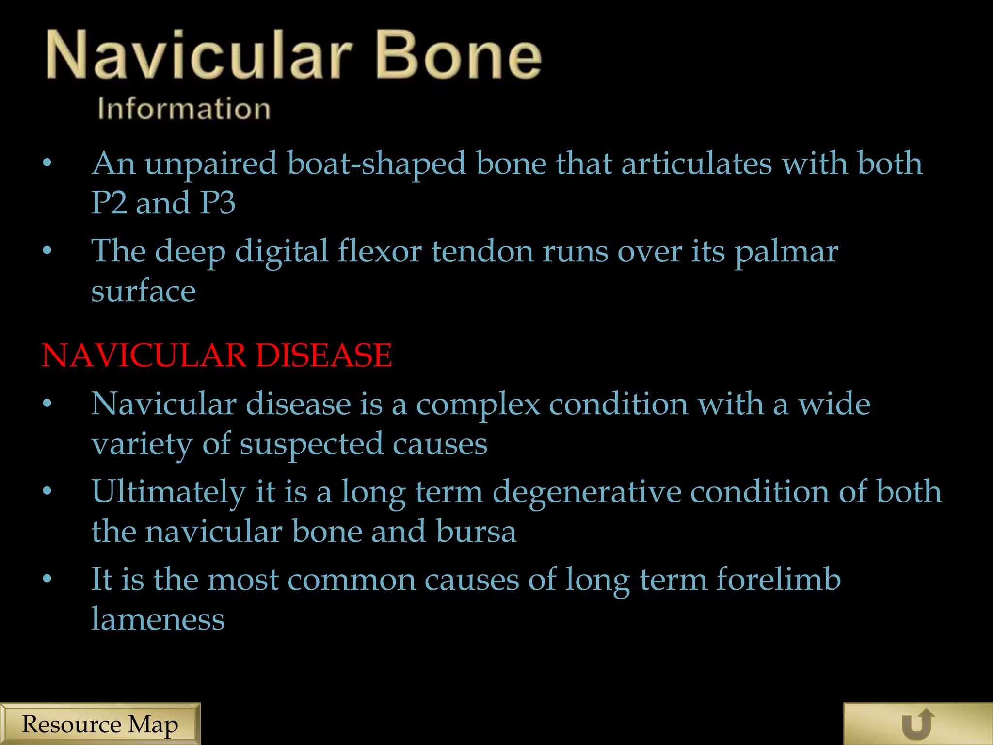 •   An unpaired boat-shaped bone that articulates with both
     P2 and P3
 •   The deep digital flexor tendon runs over its palmar
     surface
 NAVICULAR DISEASE
 • Navicular disease is a complex condition with a wide
   variety of suspected causes
 • Ultimately it is a long term degenerative condition of both
   the navicular bone and bursa
 • It is the most common causes of long term forelimb
   lameness


Resource Map
 