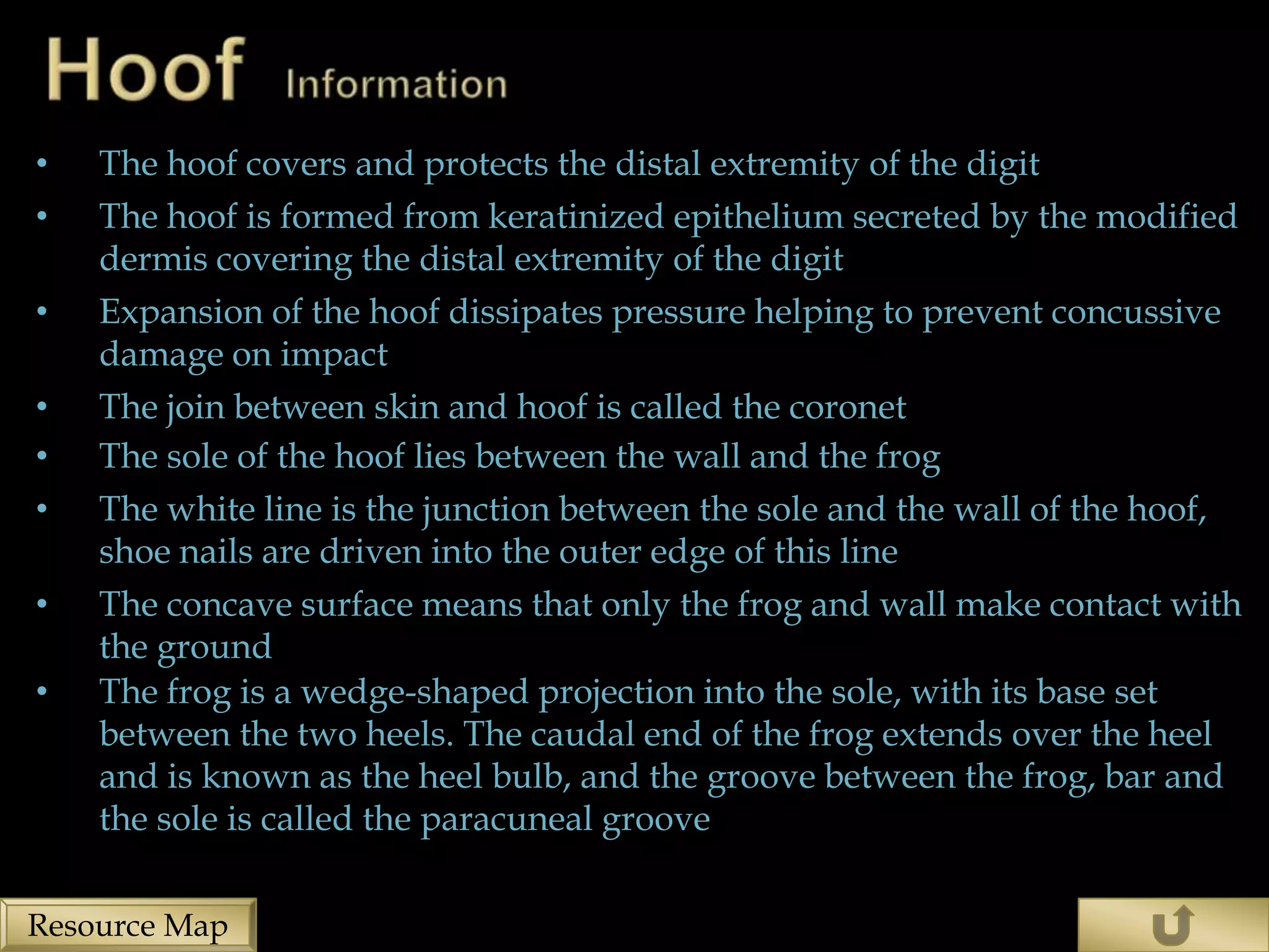 •   The hoof covers and protects the distal extremity of the digit
•   The hoof is formed from keratinized epithelium secreted by the modified
    dermis covering the distal extremity of the digit
•   Expansion of the hoof dissipates pressure helping to prevent concussive
    damage on impact
•   The join between skin and hoof is called the coronet
•   The sole of the hoof lies between the wall and the frog
•   The white line is the junction between the sole and the wall of the hoof,
    shoe nails are driven into the outer edge of this line
•   The concave surface means that only the frog and wall make contact with
    the ground
•   The frog is a wedge-shaped projection into the sole, with its base set
    between the two heels. The caudal end of the frog extends over the heel
    and is known as the heel bulb, and the groove between the frog, bar and
    the sole is called the paracuneal groove

Resource Map
 