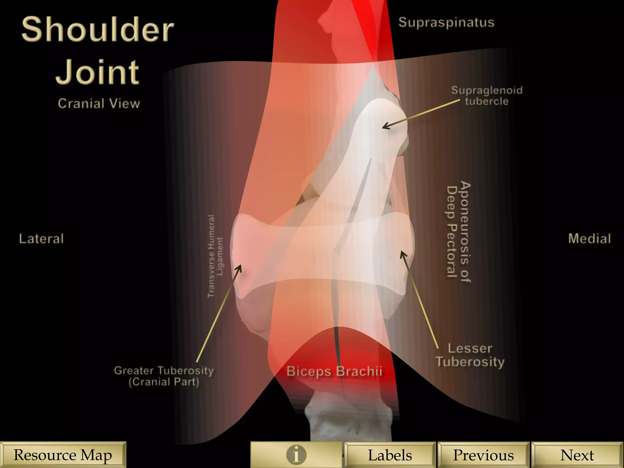 Resource Map   Labels   Previous   Next
 
