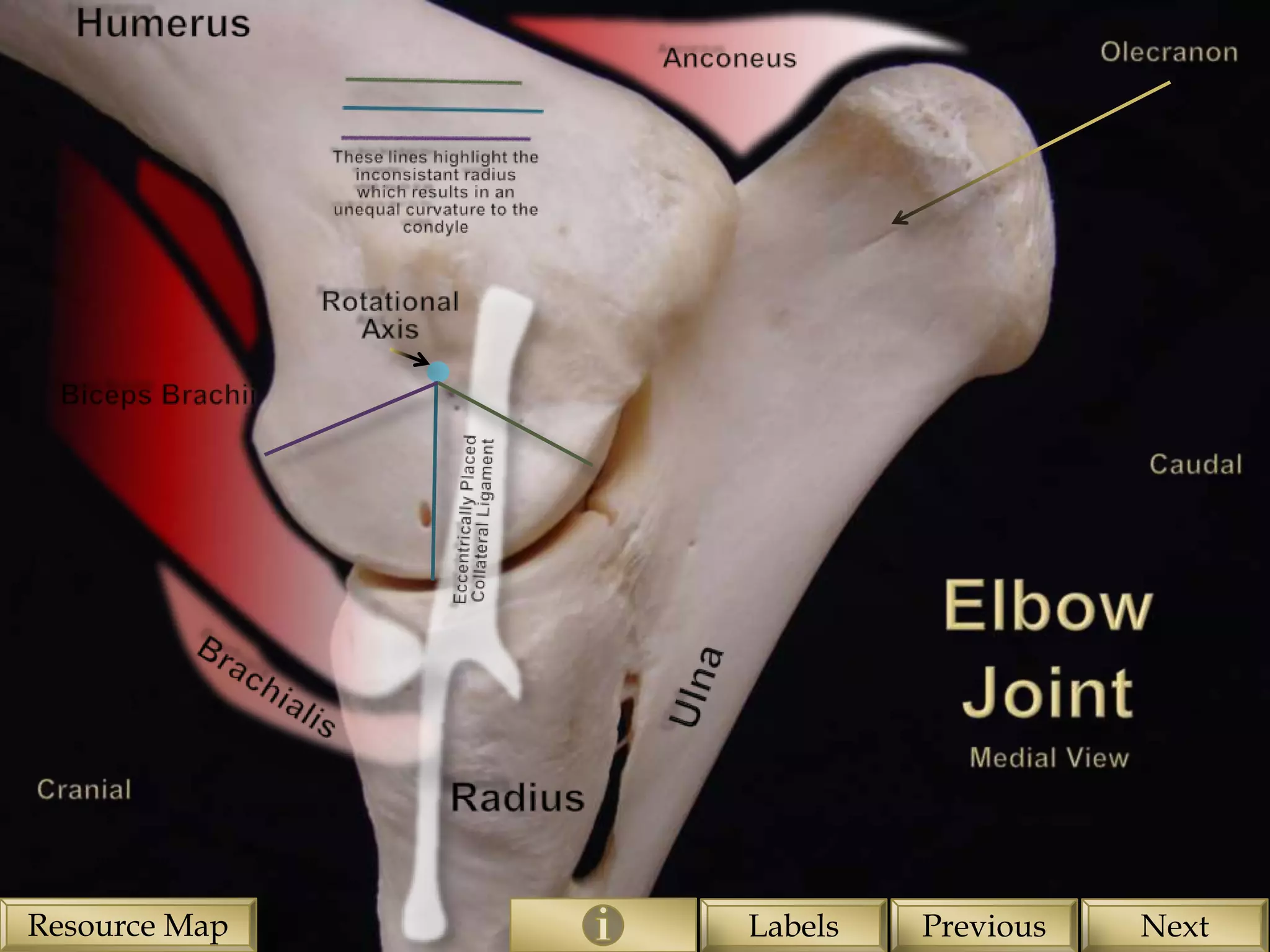 Resource Map   Labels   Previous   Next
 