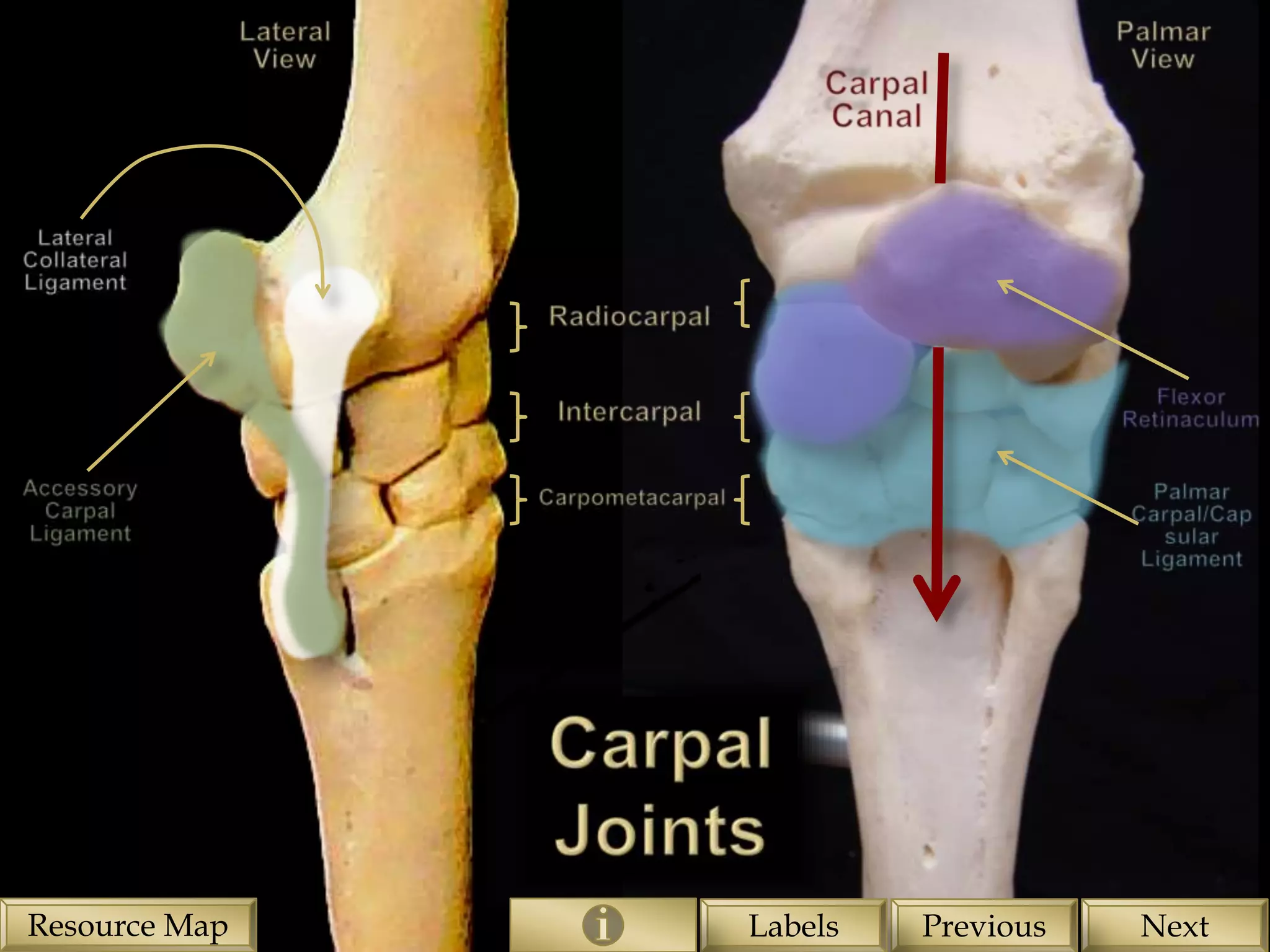 Resource Map   Labels   Previous   Next
 