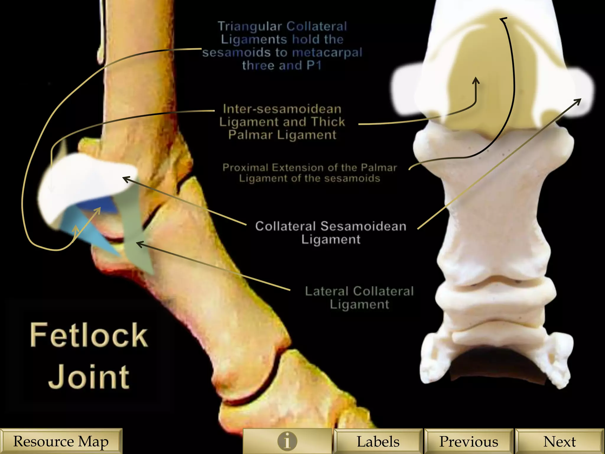 Resource Map   Labels   Previous   Next
 