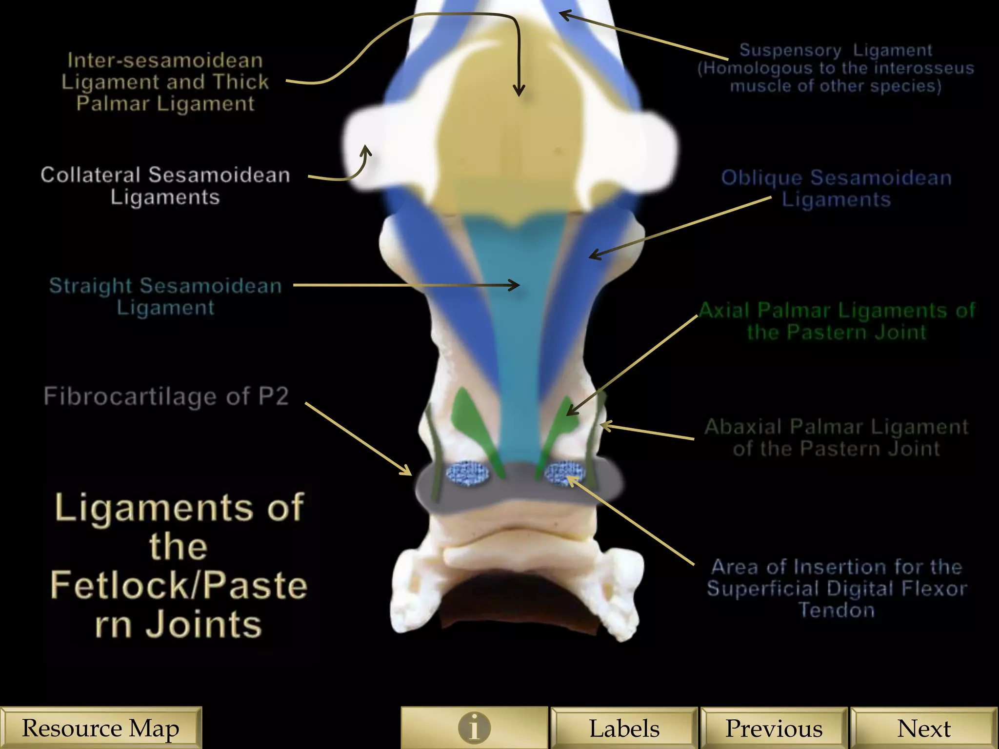 Resource Map   Labels   Previous   Next
 